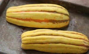 Delicata squash ready to be roasted