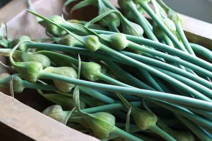 Fresh garlic scapes in a wooden box from Gourmet Done Skinny