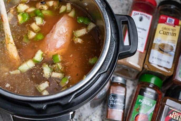 Instant Pot with chicken, broth, spices