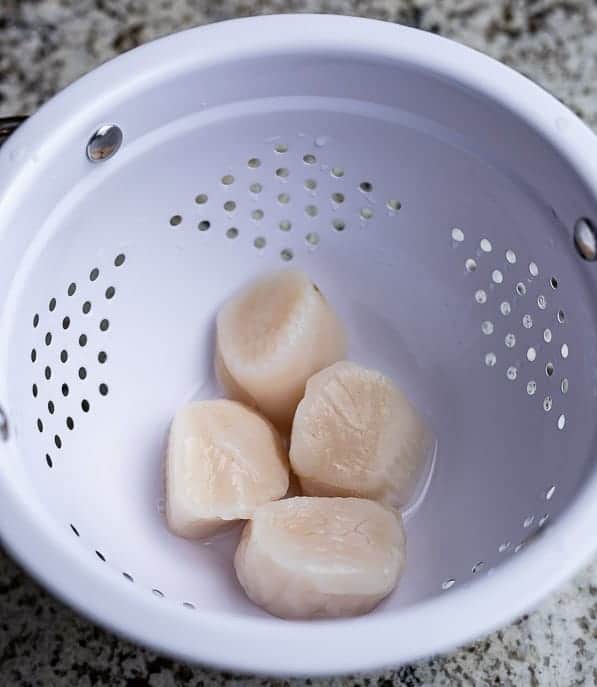 Scallops thawing in a collander