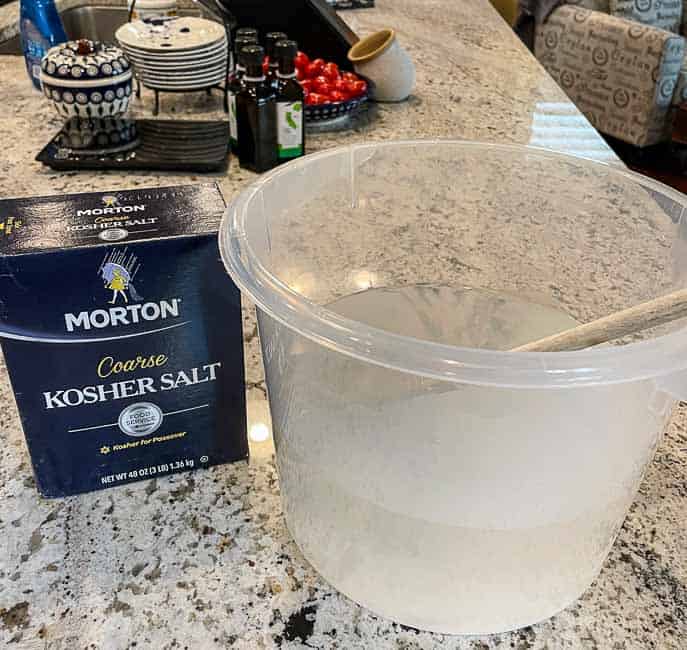 plastic container with water, box of kosher salt, on a granite counter