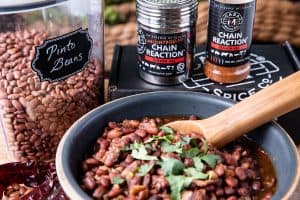 Pinto beans in a bowl with wooden spoon, spices in background